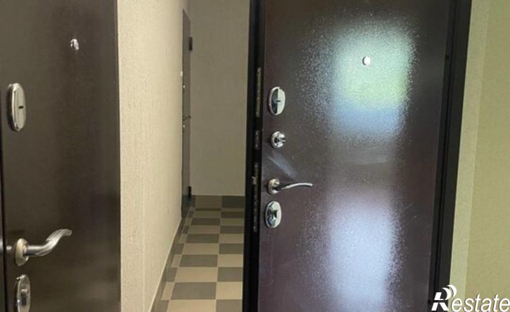 1-комн квартира улица Михаила Митрофанова, 2/2