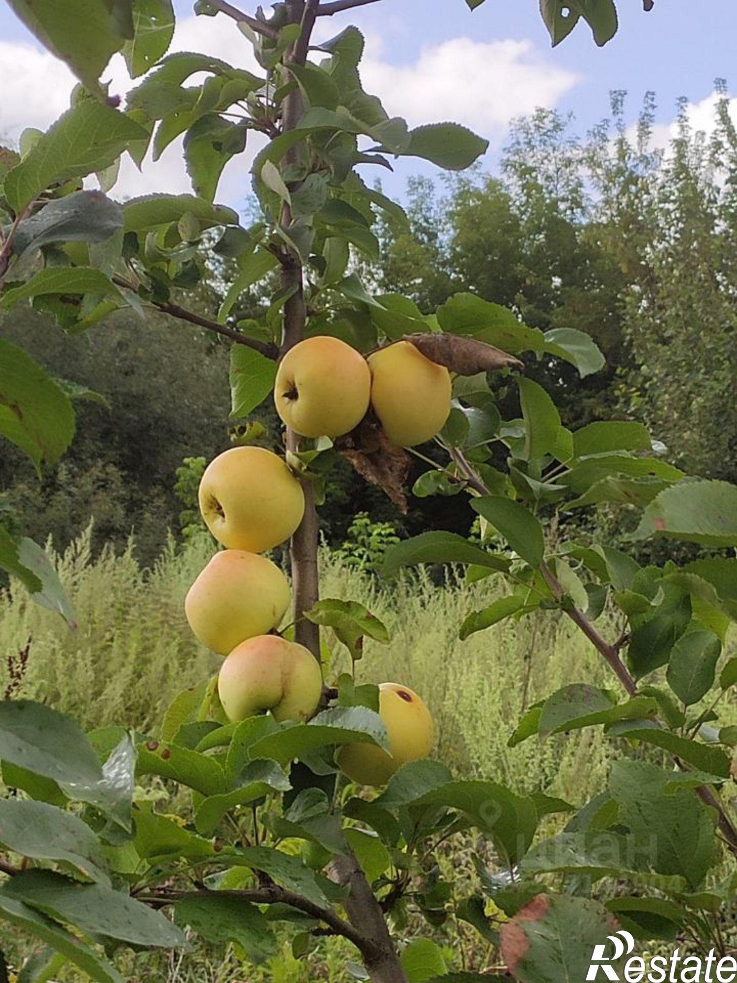 Купить землю, земельный участок за 125 000 рублей