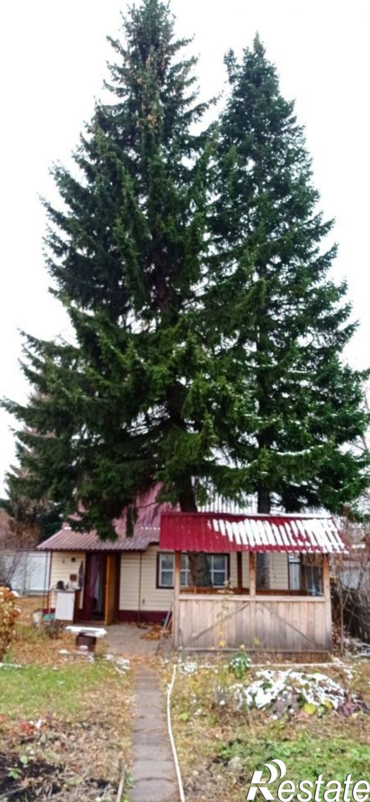 Коттедж/дом Бийск &mdash; Соколово &mdash; Акутиха &mdash; Солдатово