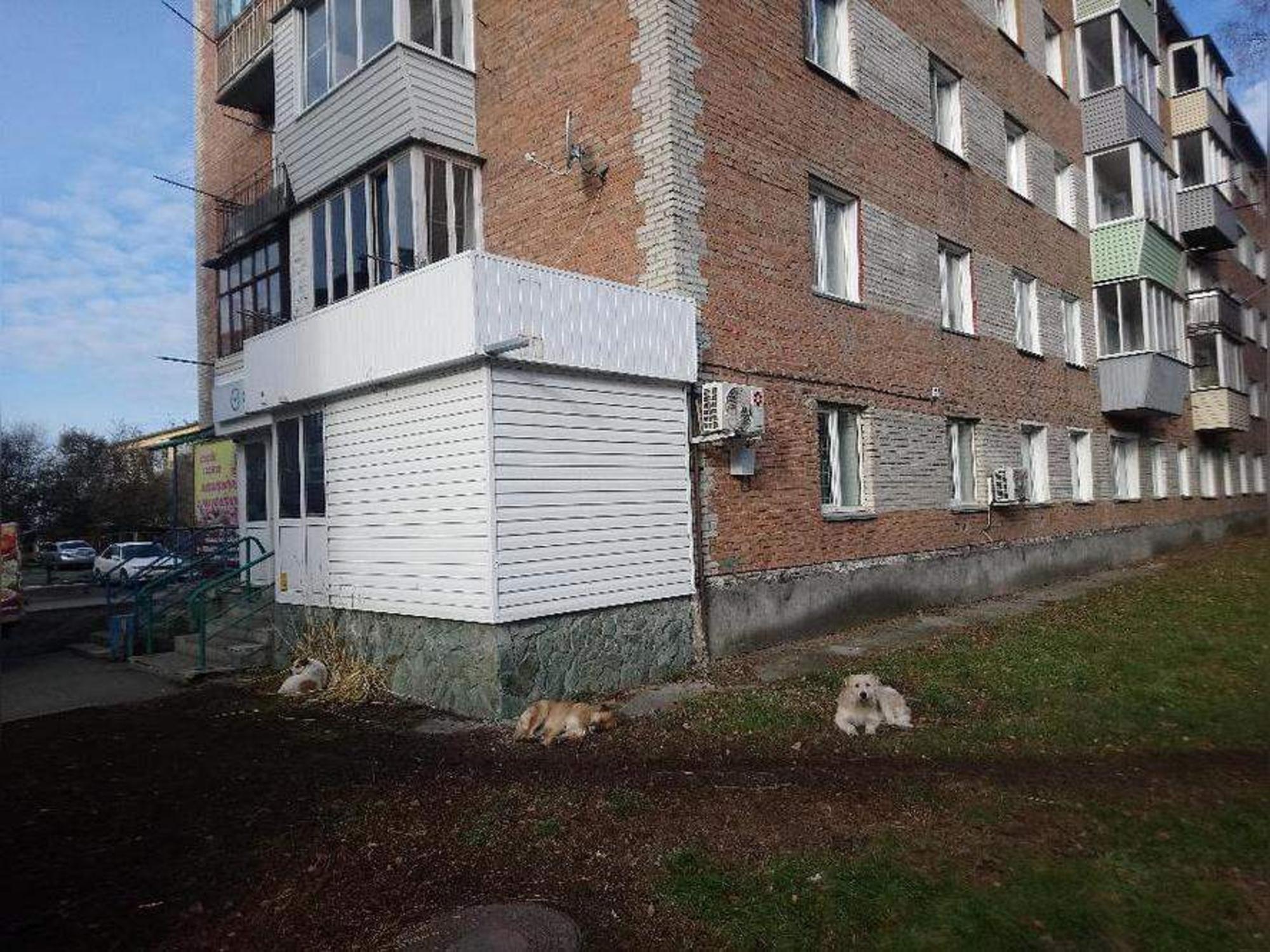 Купить офис, помещение под офис за 2 224 470 рублей на Мирная улица, д.3