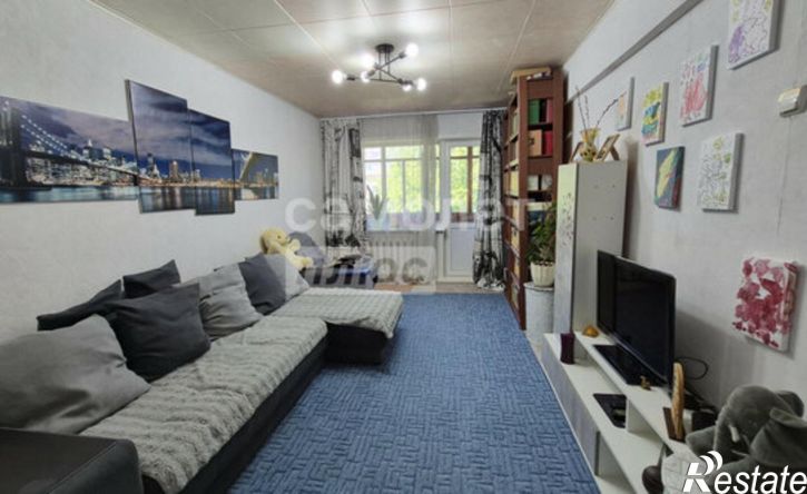 3-комн квартира ул Петра Мерлина, 23,  д. 23