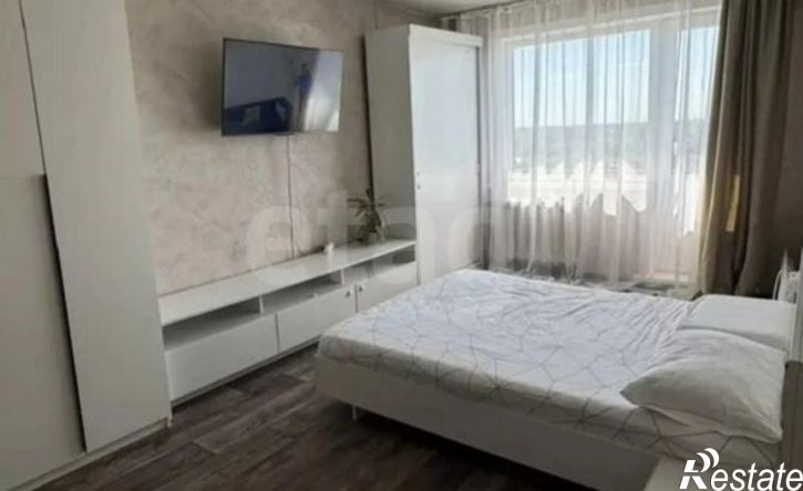 1-комн квартира ул Петра Мерлина, 4,  д. 4