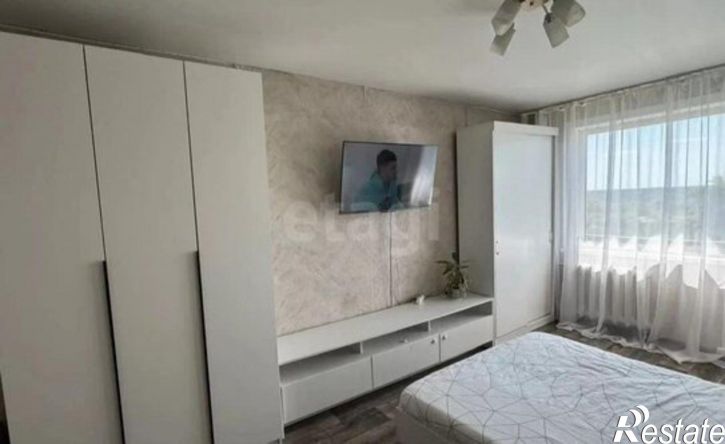 1-комн квартира ул Петра Мерлина, 4,  д. 4