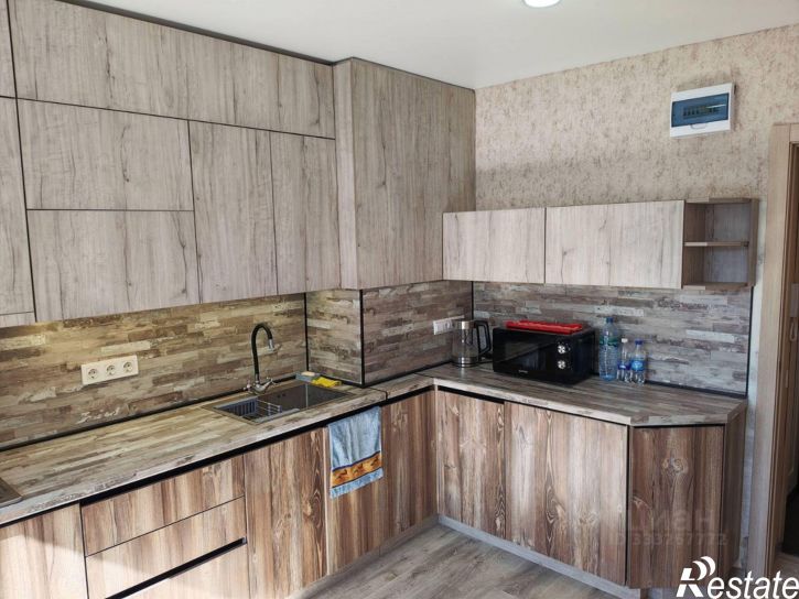 2-комн квартира улица Александра Пушкина, 209,  д. 209