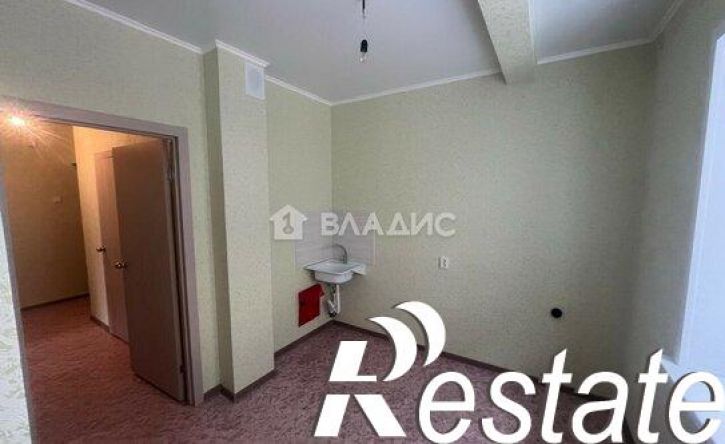 2-комн квартира улица Михаила Митрофанова, 2/7,  д. 2/7